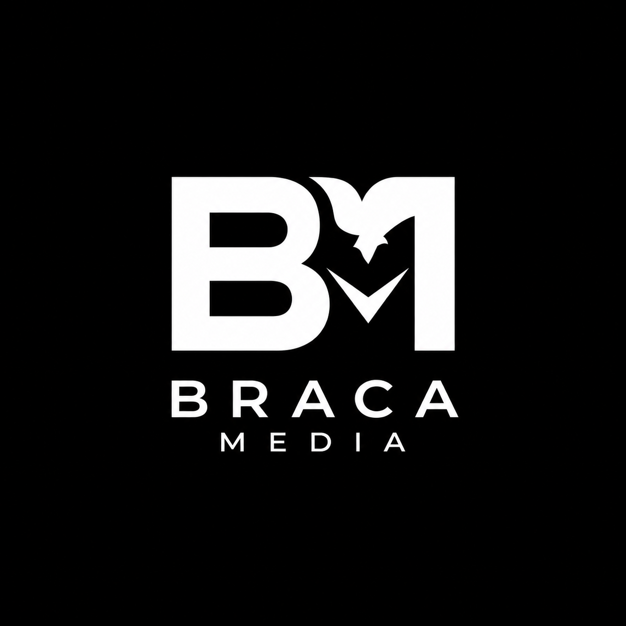 Braca Media